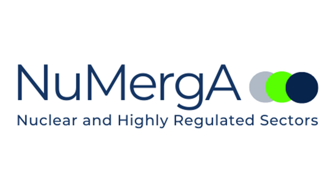Numerga Logo web
