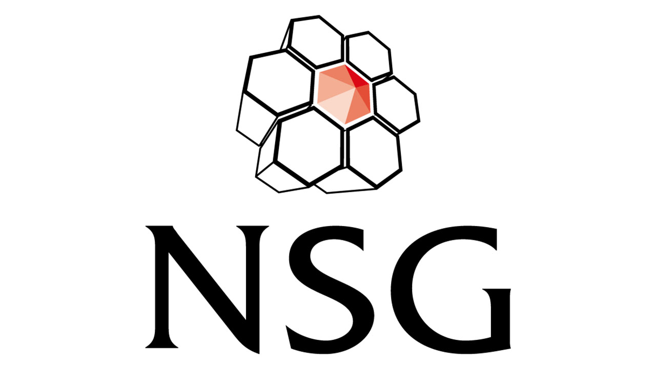 NSG Environmental Ltd logo web